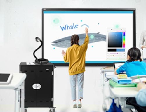 Visualizer Product Review – Afrikaans HOD, J. Marais